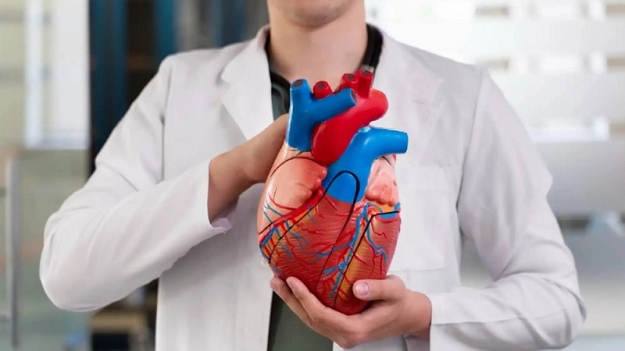 সপ্তাহে অন্তত একদিন বিছানায় শুয়ে এই ‘নি’ষি’দ্ধ’ কাজ করুন, হৃদরো’গের ঝুঁ’কি কমবে ২০%!