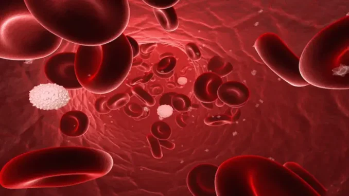 বাংলাদেশে তরুণদের মধ্যে দ্রুত বাড়ছে ব্লাড ক্যা’ন্সার! অবহেলা নয়, ল’ক্ষ’ণ চিনে রাখুন এখনই