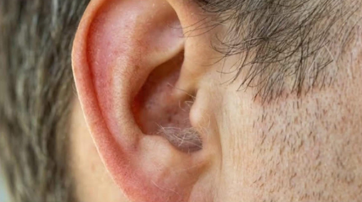 কানে চুল গজানো কীসের ইঙ্গিত? জানলে চমকে যাবেন