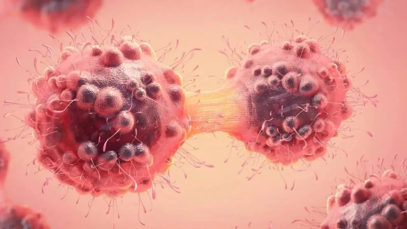 ক্যানসার ধরা পড়ে দেরিতে! শুরুতে শরীরের কোন অঙ্গে দেয় সংকেত