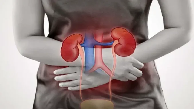 রাতে এই ৫ উপসর্গ দেখা দিলেই সতর্ক হোন, হতে পারে কি’ডনি রো’গের ইঙ্গিত!