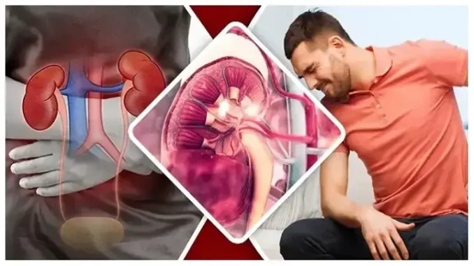 পায়ে এই ৪ টি লক্ষণ দেখলে বুঝবেন আপনার কিডনী ভালো নেই! চিকিৎসকের পরামর্শ নেওয়া উচিত