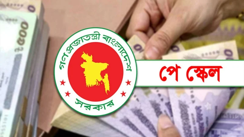 সরকারি কর্মচারীদের জন্য সুখবর! নবম পে স্কেল নিয়ে নতুন আপডেট